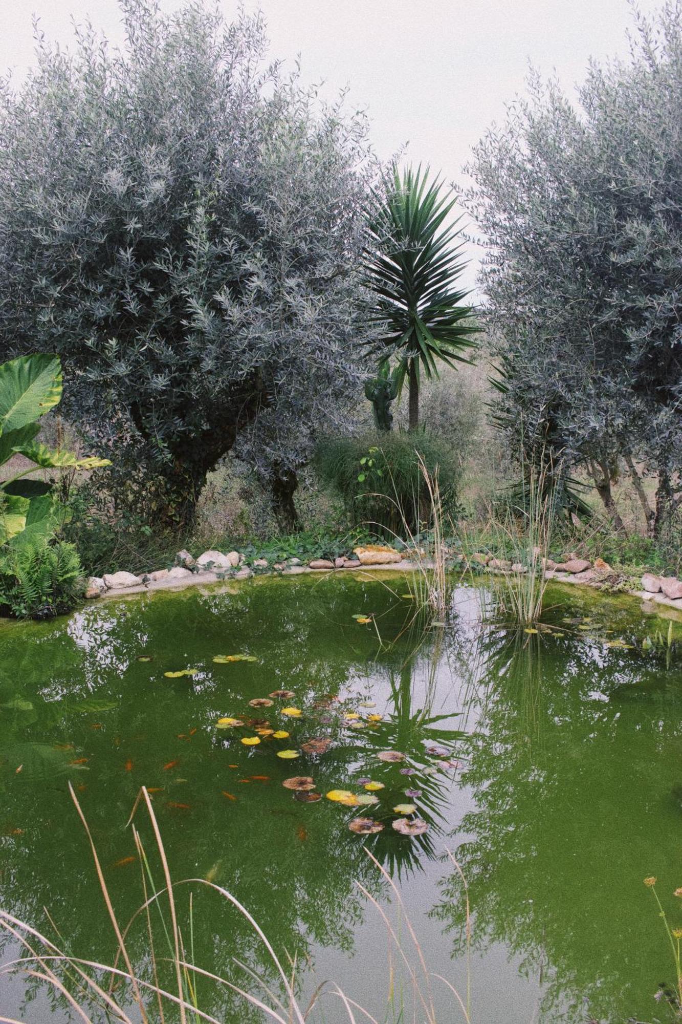 Casa Oliva - Casa Do Lago Porto de Mós 外观 照片